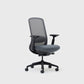 Vernal Arc Ergonomic Office Chair