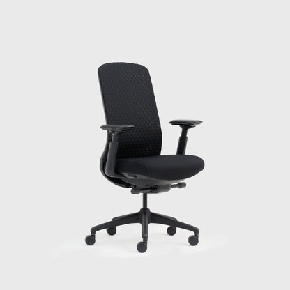 Vernal Arc Ergonomic Office Chair