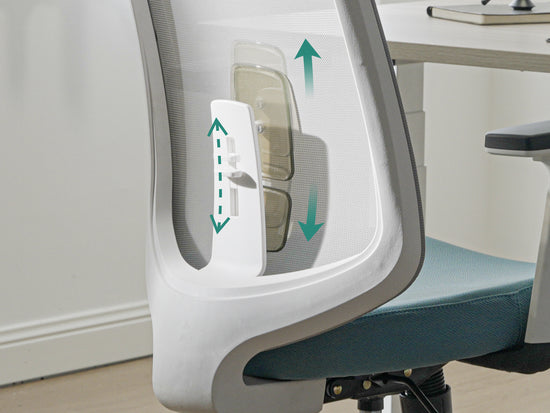 Lumbar Support